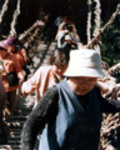 161.jpg
